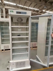 Air Cooling Pharmaceutical Grade Freezers 315L With USB Port Test Hole