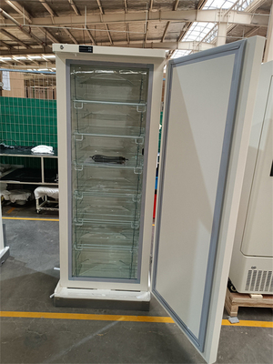 278L Capacity Hospital Laboratory Stainless Steel Upright Deep Freezer With Lock