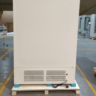936L Capacity Low Temperature Lab Freezer With 304 Internal Material