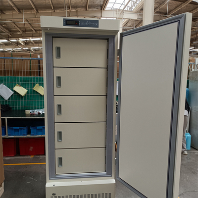 Stable Temperature -25 Degree Medical Deep Freezer for Vaccine RNA DNA Storage deep freezers