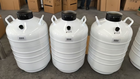 Cryogenic Dry Shipper – Portable LN₂ Vapor Phase Container for Sample Shipping
