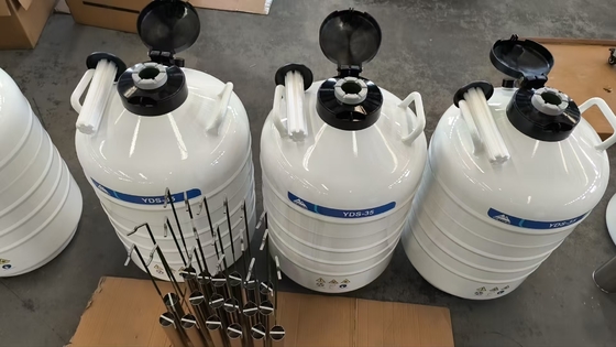 Cryogenic Dry Shipper – Portable LN₂ Vapor Phase Container for Sample Shipping
