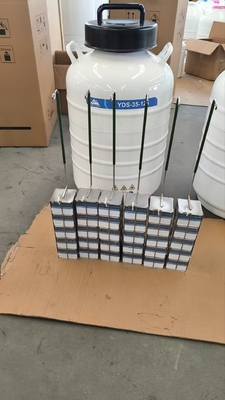LN₂ Vapor Phase Dry Shipper – Ideal for Laboratory and Clinical Logistics