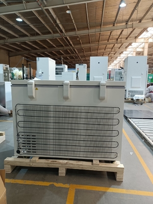 MDF-40H305 -40℃ Biomedical Chest Freezer | 305L Large Capacity Medical Deep Freezer for Virus, Blood & Lab Storage