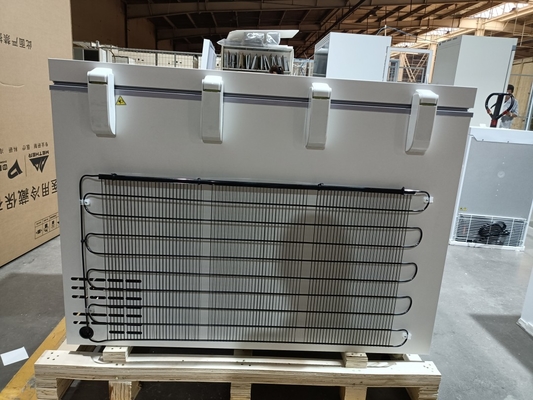 -40℃ Biomedical Chest Freezer | 305L Ultra-Low Temperature Freezer for Medical and Laboratory Use