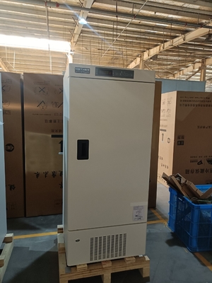 MDF-40V268E -40℃ Medical Deep Freezer | 268L Vertical Biomedical Freezer with Precise Temperature Control