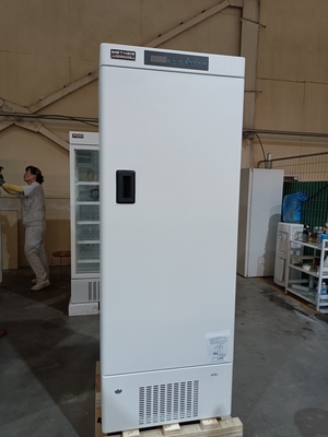 MDF-40V328E -40℃ Biomedical Deep Freezer | 328L Vertical Medical Freezer for Vaccines, Blood & Biological Samples