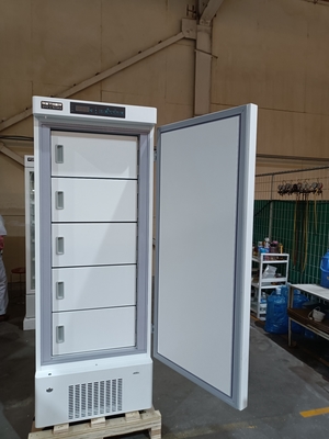 MDF-40V328E -40℃ Biomedical Deep Freezer | 328L Vertical Medical Freezer for Vaccines, Blood & Biological Samples