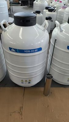 METHER YDS-47-127 Cryogenic Dewar — Reliable LN2 Storage for Laboratory & Veterinary Applications